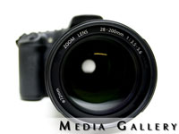 Photo Gallery